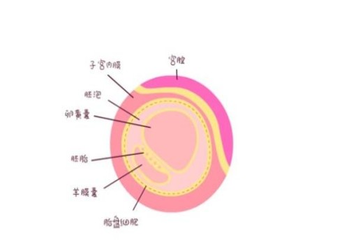 杭州代怀生男孩价格：﻿前壁下怀孕妇注意事项一览，附三种缓解不适的方法