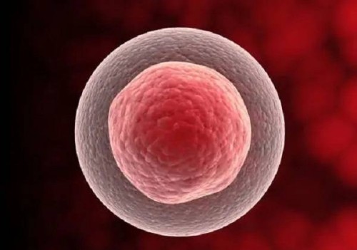 杭州代怀生男孩机构：﻿2022年在国内做第三代试管供卵想生男孩有什么要求吗?