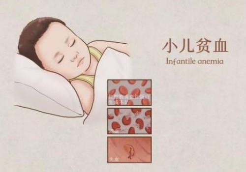 杭州试管代怀生子：﻿试管男孩费用大概要多少钱?移植之后吃这些东西明显有助于着床
